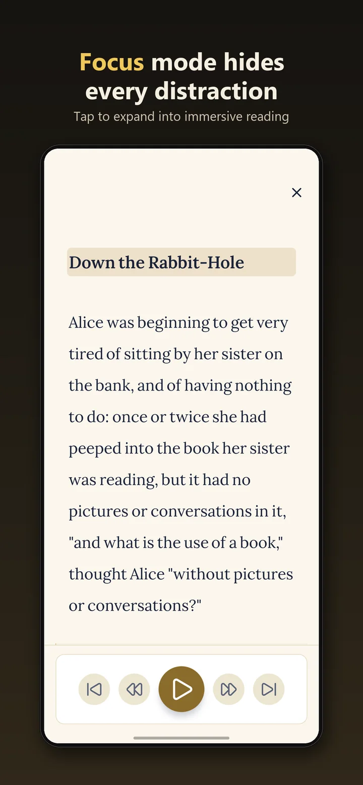 Focus mode: the page expanded full screen with only the text and controls